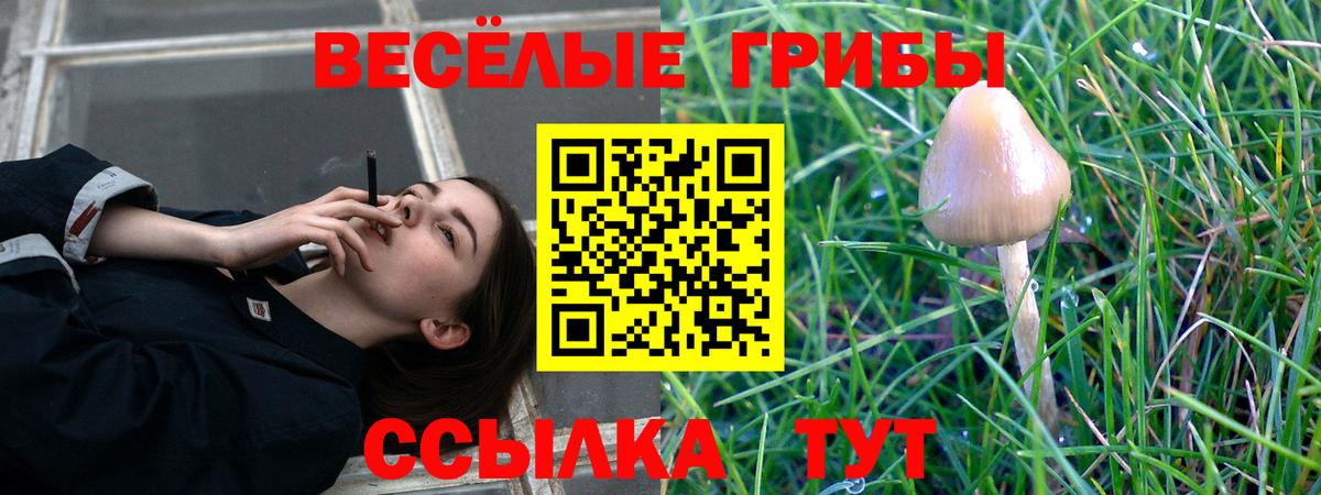 Галлюциногенные грибы прущие грибы Великий Устюг
