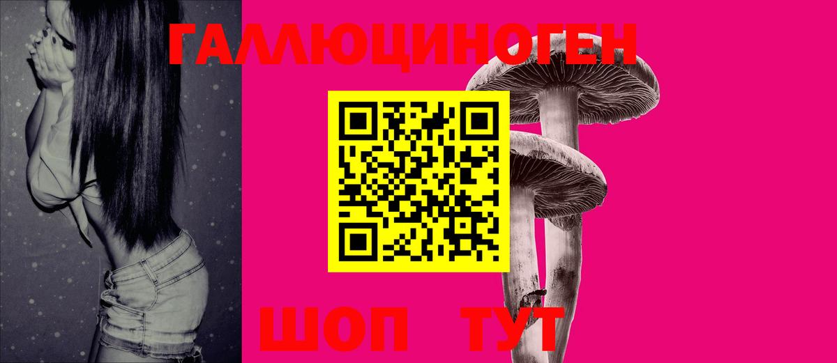 Псилоцибиновые грибы GOLDEN TEACHER  Вход с VPN  Псилоцибиновые грибы Magic Shrooms  Великий Устюг 